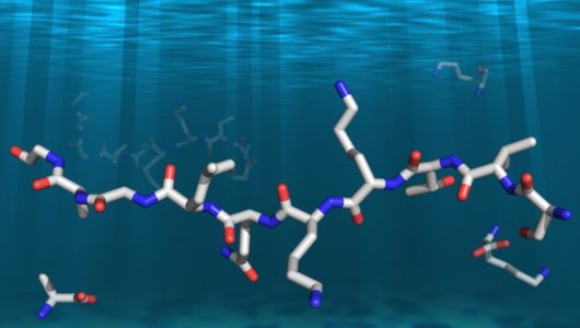 Amino acids could function as a novel class of prebiotics