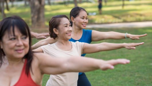 Global recommendations on physical activity