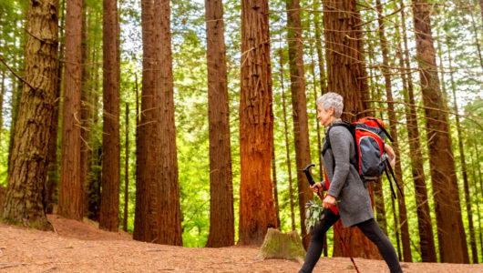 Seven lifestyle for preventing cognitive decline and dementia