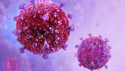 Peptides in the Treatment of HIV