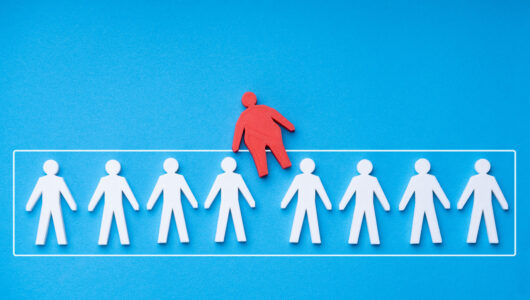 Health service delivery framework for prevention and management of obesity