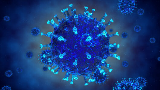 Herpes simplex virus