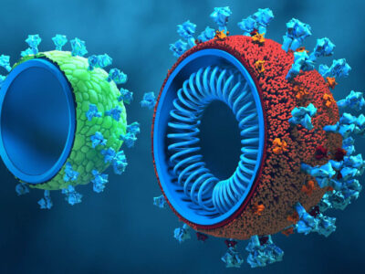 Virus-like Particle Vaccines and Platforms for Vaccine Development: peptides’ aspects.